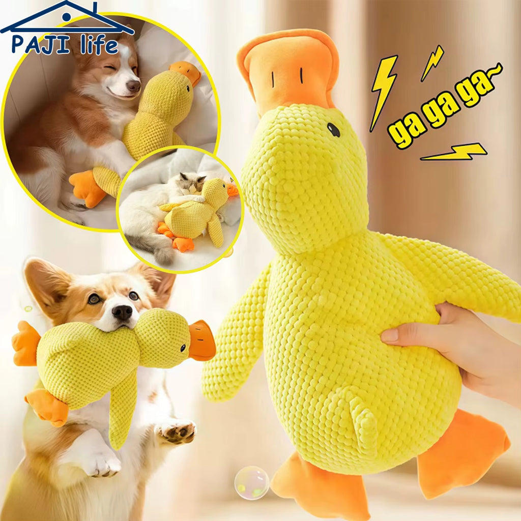 Jouet en peluche résistant pour chien – Canard, Os & Carotte