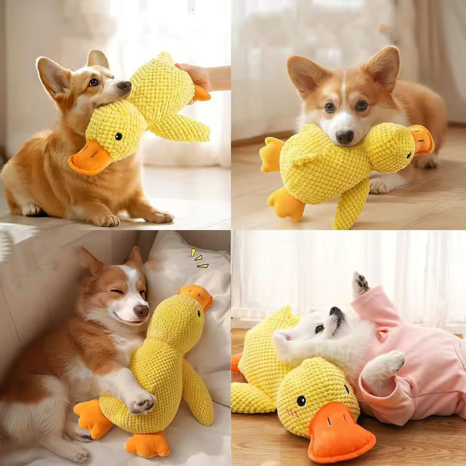 Jouet en peluche résistant pour chien – Canard, Os & Carotte