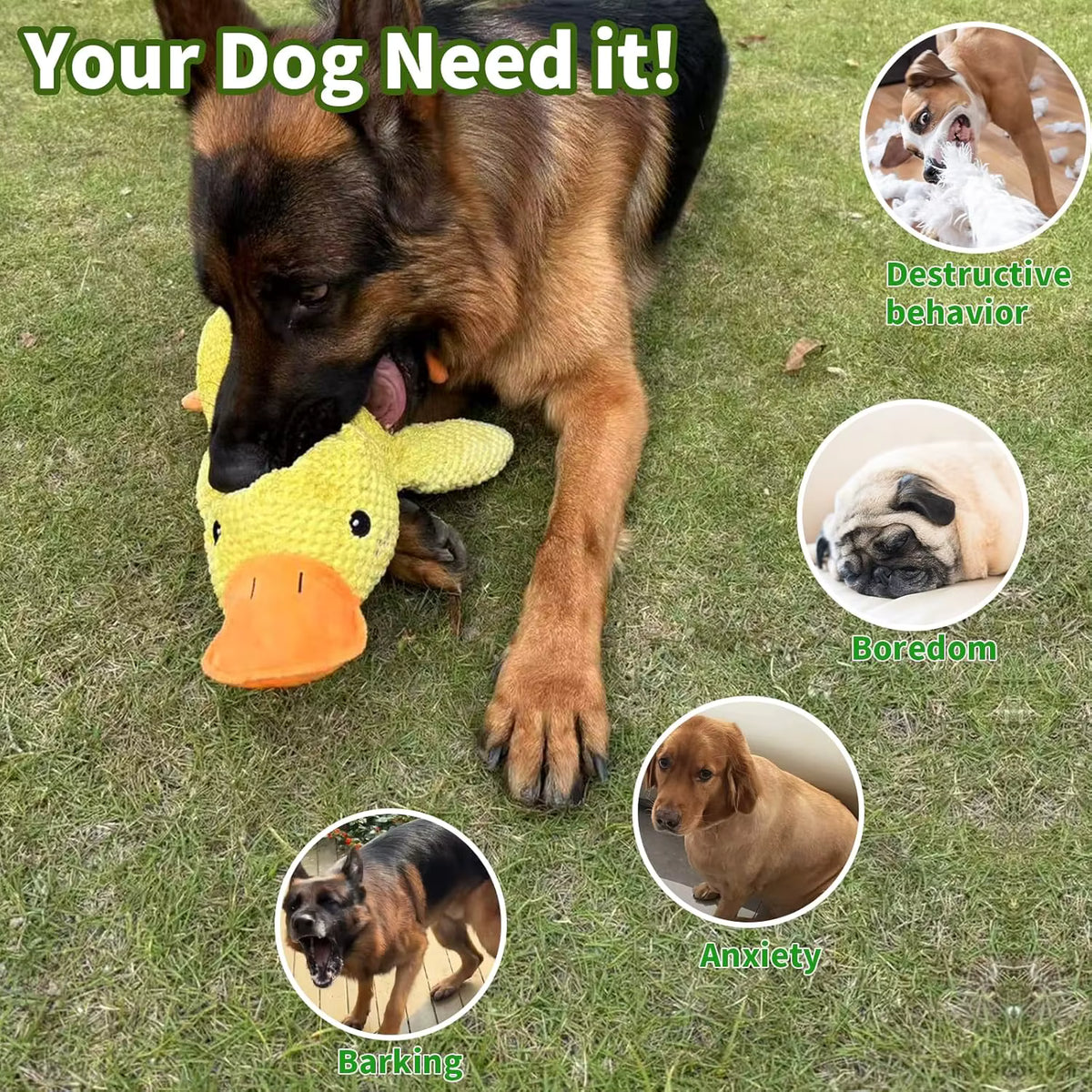 Jouet en peluche résistant pour chien – Canard, Os & Carotte