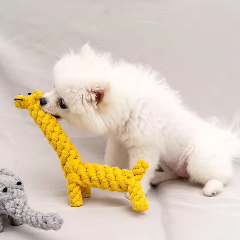 Jouet en corde de coton Toy Story – Nettoyage des dents pour chien