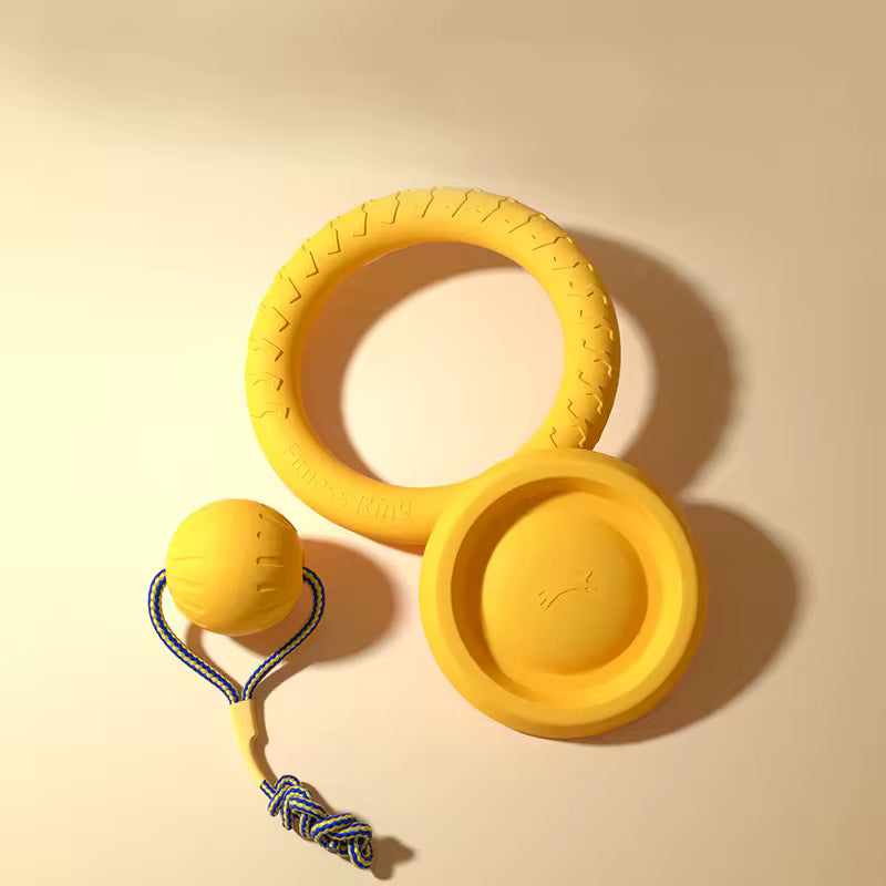 Set de 4 jouets EVA interactifs pour chien – Disques, Balle & Corde