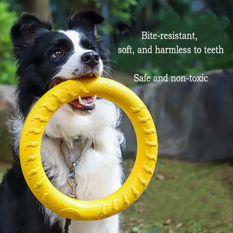 Set de 4 jouets EVA interactifs pour chien – Disques, Balle & Corde