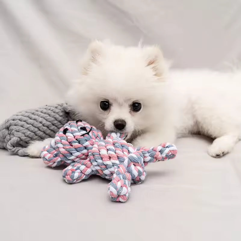 Jouet en corde de coton Toy Story – Nettoyage des dents pour chien