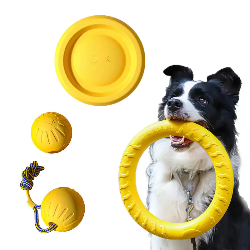 Set de 4 jouets EVA interactifs pour chien – Disques, Balle & Corde