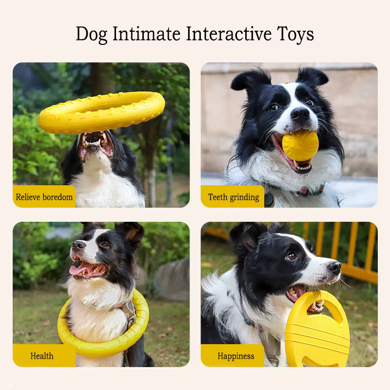 Set de 4 jouets EVA interactifs pour chien – Disques, Balle & Corde
